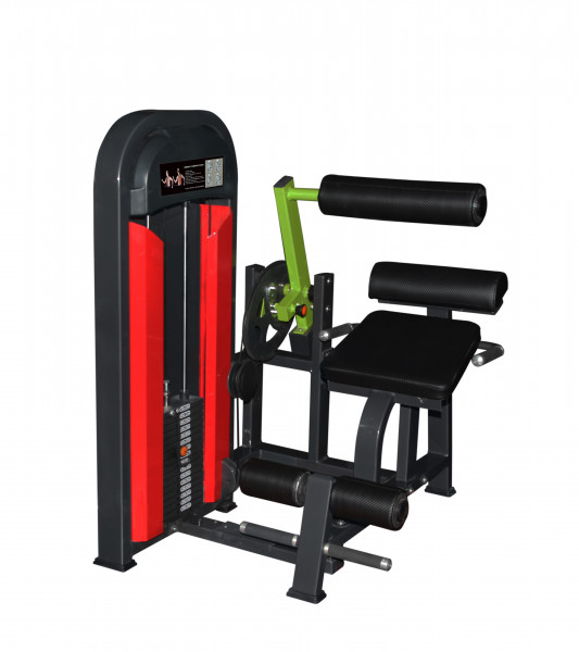M2 Series - Back Extension